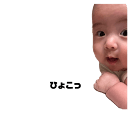 611396010