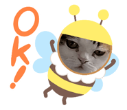 611421185
