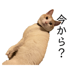 611427847