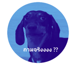 611437588