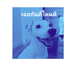 611437594