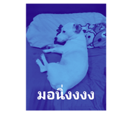 611437595