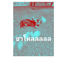 611437596
