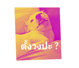 611437597