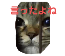 611475744