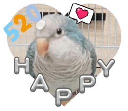 611495620