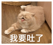 611507790