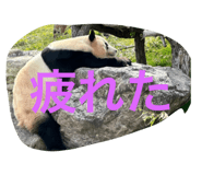 611555934