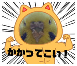 611557987