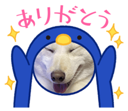 611625961