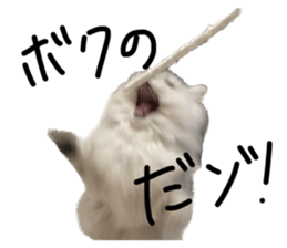611629283