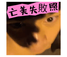 611650639