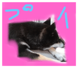 611660191
