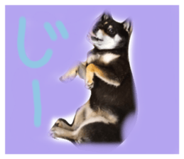 611660192