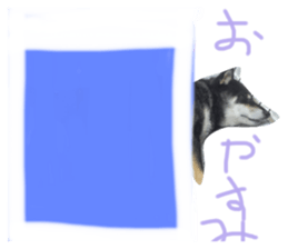 611660194