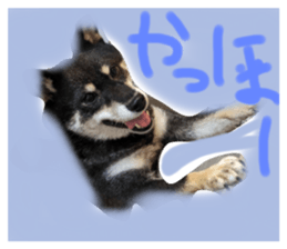 611660195