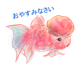 611662059