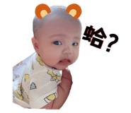 611665779
