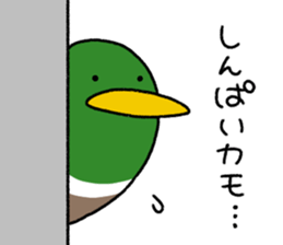 611684144