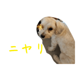 611693594