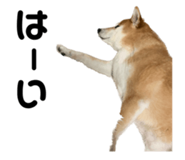 611788107