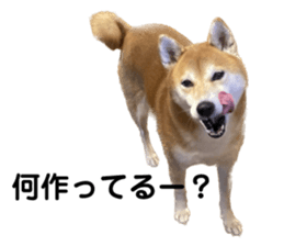611788112