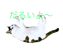 611815169