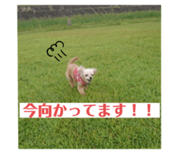 611862197