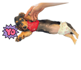 611866983