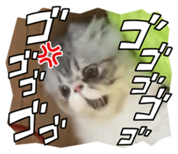 611872025