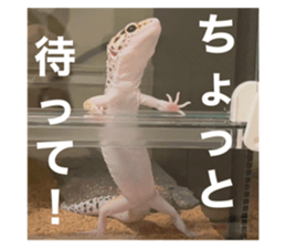 611944363