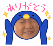 611997258