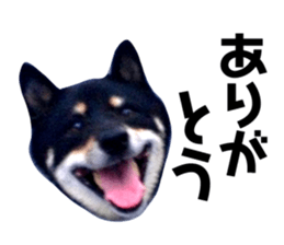 61210840