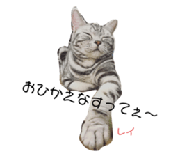 612181986
