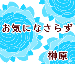 61218433