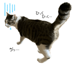 612201157