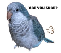 612223348