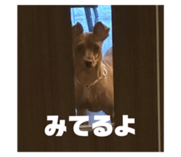 612269536