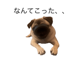 612303236