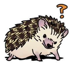 6123114