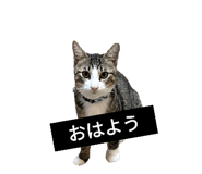 612373295
