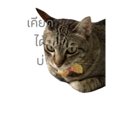 612373898