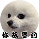 612379196