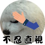 612379207
