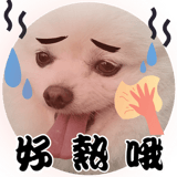 612379209