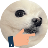 612379213