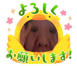 612383241