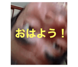 612398646