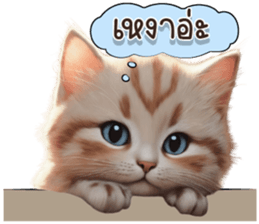 612408934
