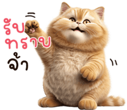 สติกเกอร์ 612409986